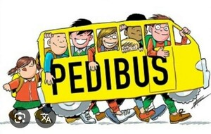 pedibus