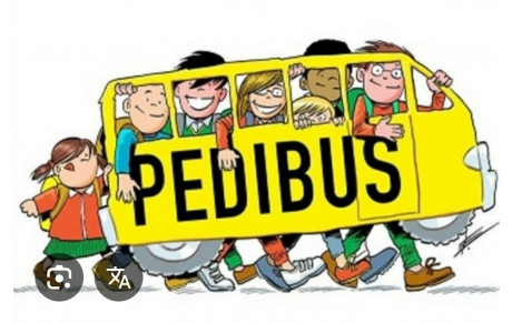 pedibus